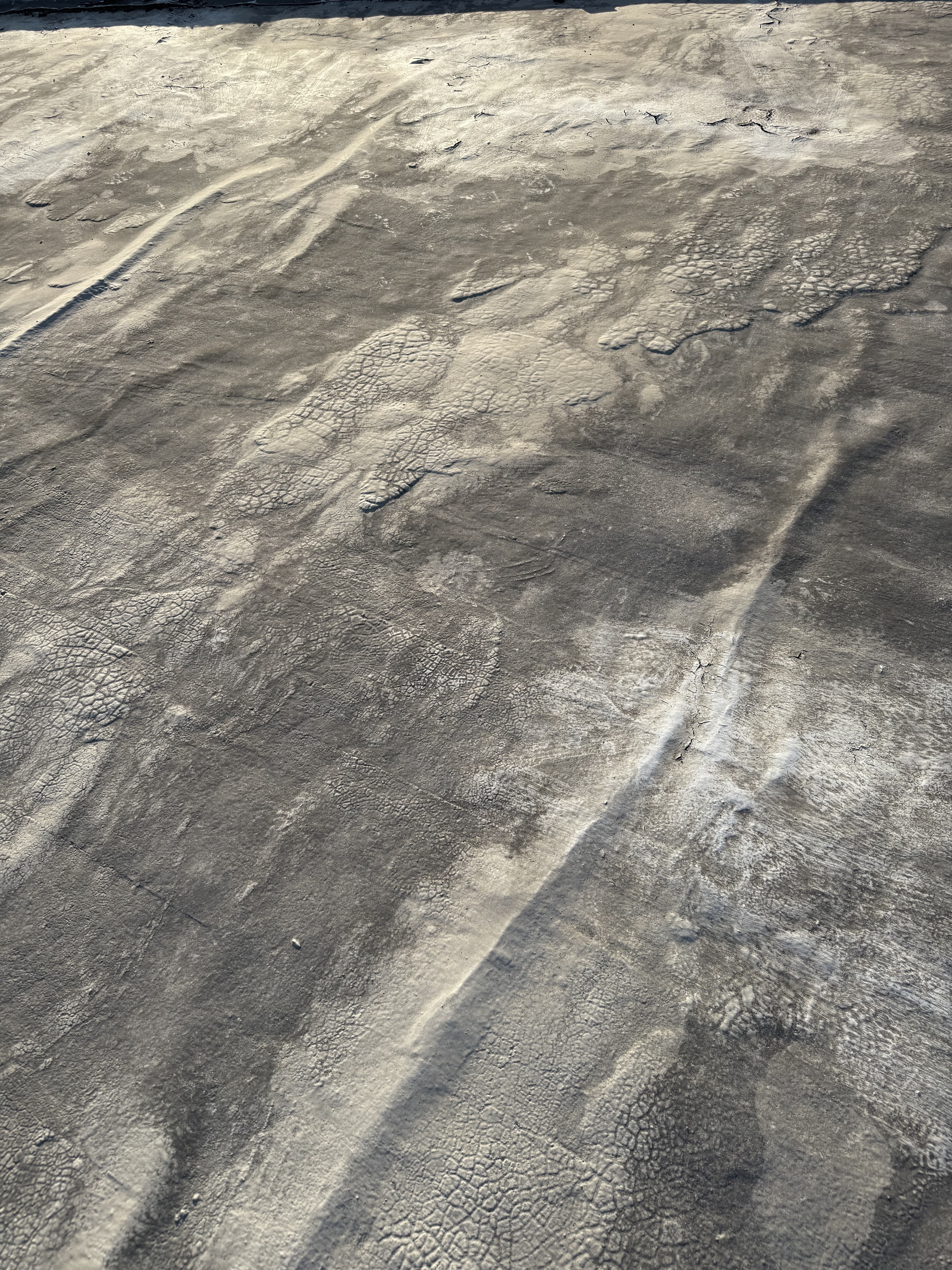 Alligatoring in Bitumen or Coal-Based Roofs