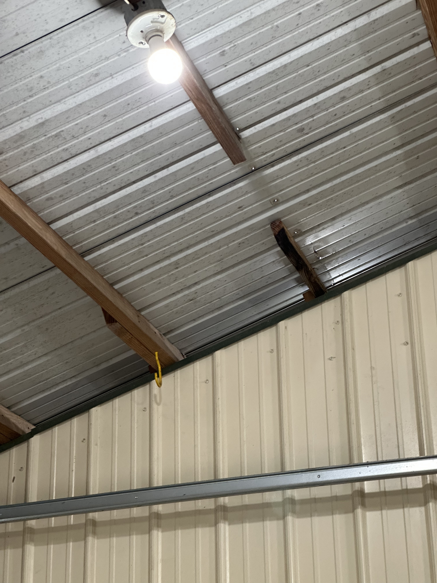 Replacing Bad Purlin and Adding Sister 2x4