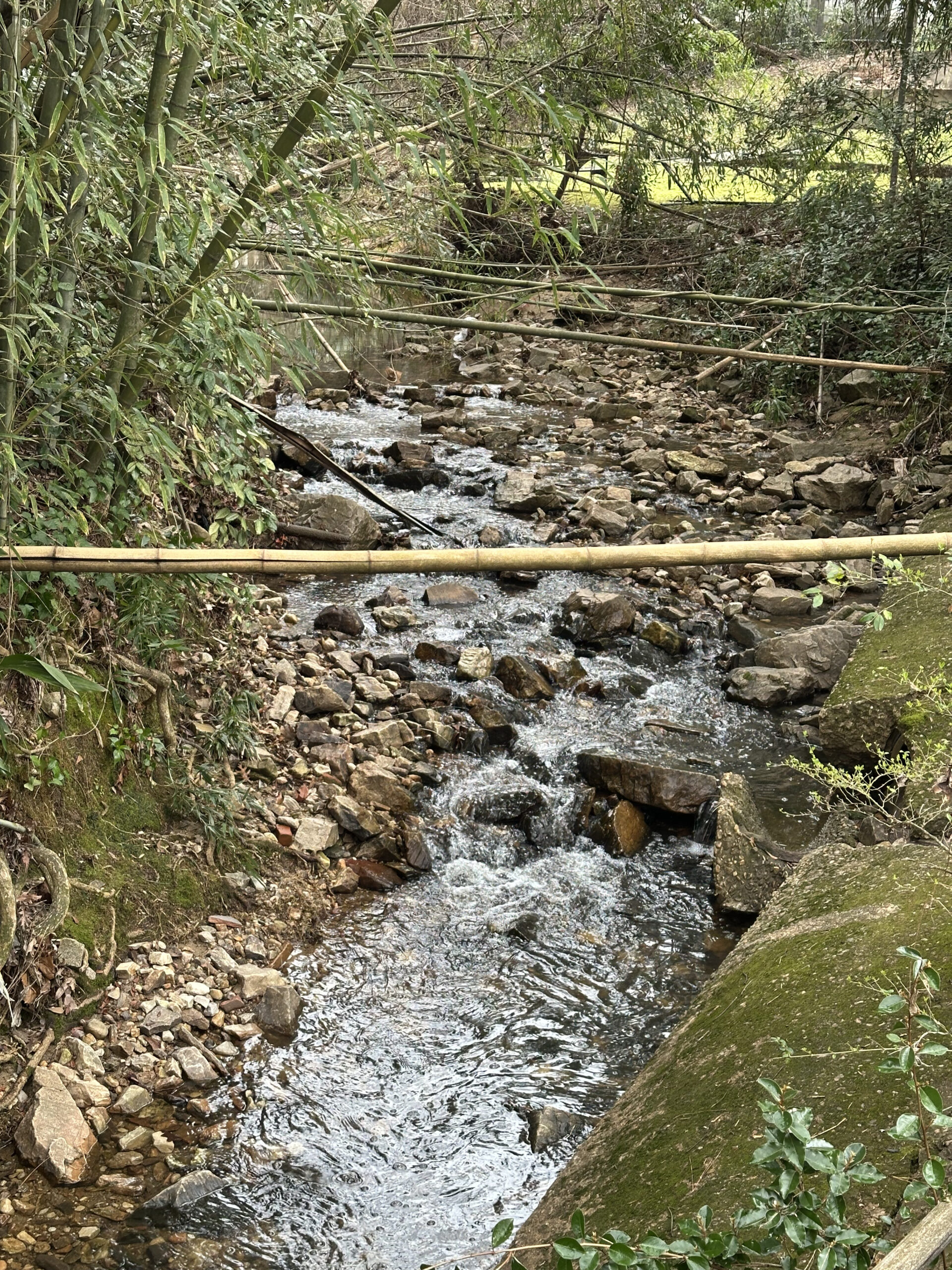 Creek