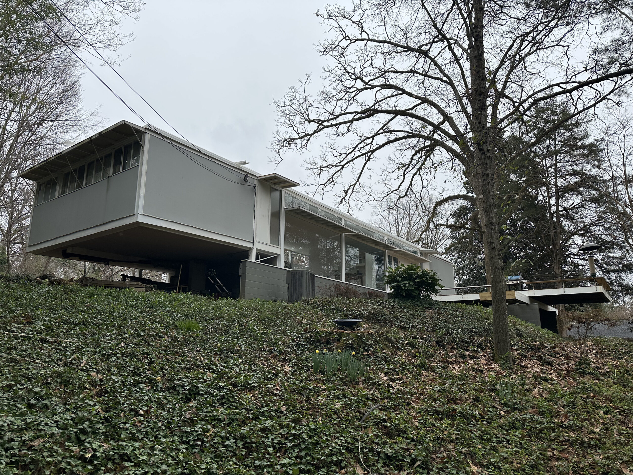 Back Angle View