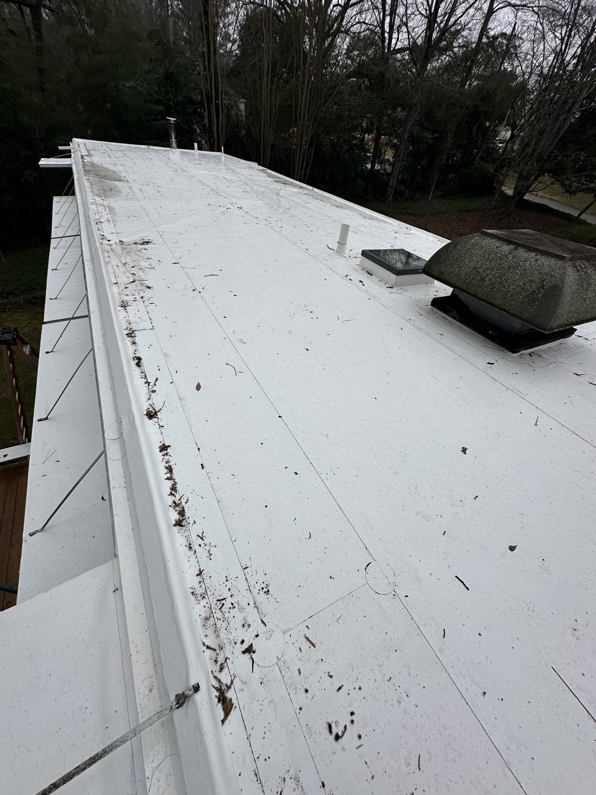 Finished Roof